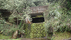 p5161173_thumb.jpg