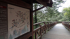p5161174_thumb.jpg