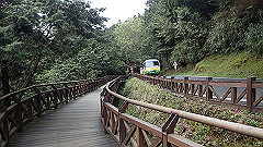 p5161175_thumb.jpg