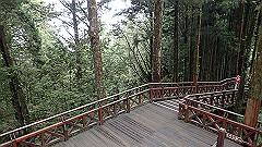 p5161177_thumb.jpg