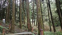 p5161178_thumb.jpg