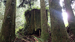 p5161179_thumb.jpg