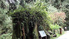 p5161180_thumb.jpg