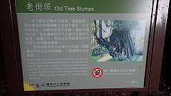 p5161181_thumb.jpg