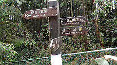 p5161182_thumb.jpg
