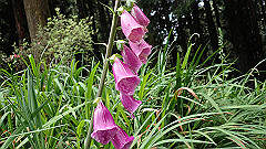 p5161183_thumb.jpg