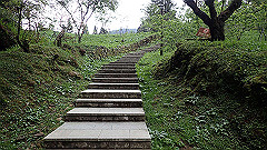 p5161188_thumb.jpg