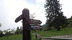 p5161189_thumb.jpg