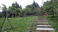 p5161190_thumb.jpg
