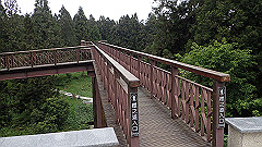p5161197_thumb.jpg