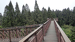 p5161199_thumb.jpg