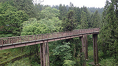 p5161200_thumb.jpg