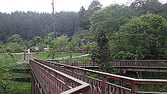 p5161202_thumb.jpg