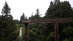 p5161203_thumb.jpg
