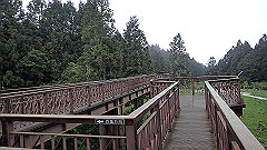 p5161204_thumb.jpg