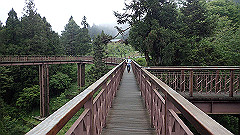 p5161207_thumb.jpg