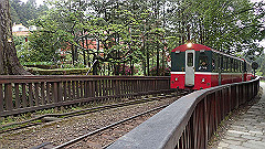 p5161208_thumb.jpg