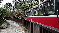 p5161210_thumb.jpg