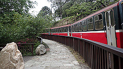 p5161211_thumb.jpg