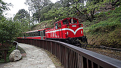 p5161212_thumb.jpg