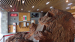 p5161215_thumb.jpg