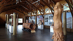 p5161226_thumb.jpg
