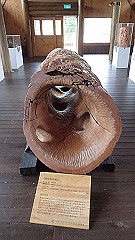 p5161229_thumb.jpg