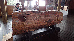 p5161231_thumb.jpg