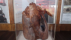 p5161233_thumb.jpg