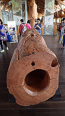 p5161235_thumb.jpg