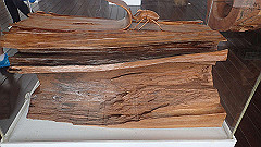 p5161236_thumb.jpg