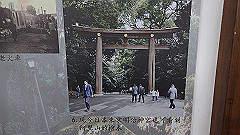 p5161238_thumb.jpg