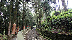 p5161240_thumb.jpg
