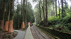 p5161241_thumb.jpg