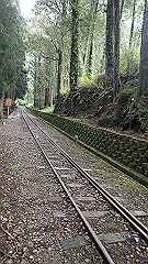 p5161242_thumb.jpg