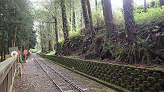 p5161243_thumb.jpg
