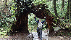 p5161246_thumb.jpg