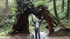 p5161247_thumb.jpg