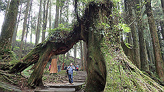 p5161249_thumb.jpg