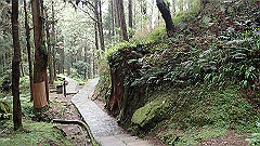 p5161250_thumb.jpg