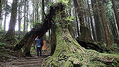 p5161251_thumb.jpg
