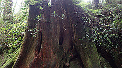 p5161252_thumb.jpg
