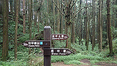p5161253_thumb.jpg