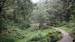 p5161254_thumb.jpg