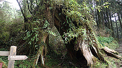 p5161256_thumb.jpg
