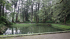 p5161257_thumb.jpg