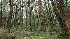 p5161258_thumb.jpg