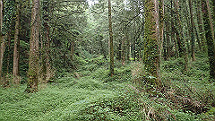 p5161261_thumb.jpg