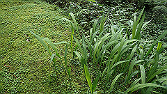 p5161263_thumb.jpg