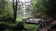 p5161264_thumb.jpg